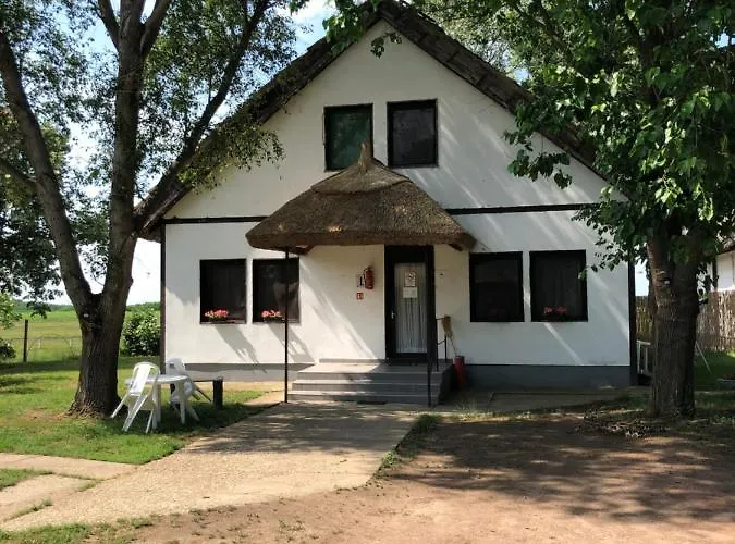 Patkos